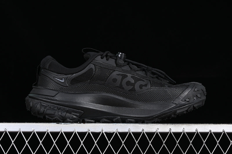 Nike ACG Mountain Fly 2 Low GTX SE [HF6245-001]