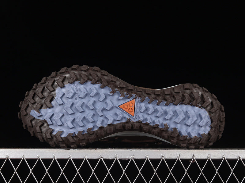 Nike ACG Mountain Fly Low SE [DQ1979-001]