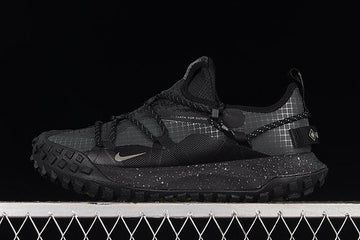Nike ACG Mountain Fly Low GTX SE [DD2861-002]