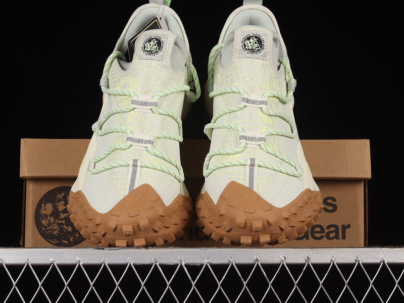 Nike ACG Mountain Fly Low GTX SE [DD2861-001]