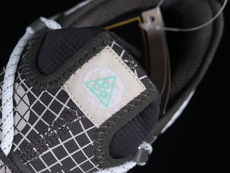 Nike ACG Mountain Fly Low SE [DO9334-100]