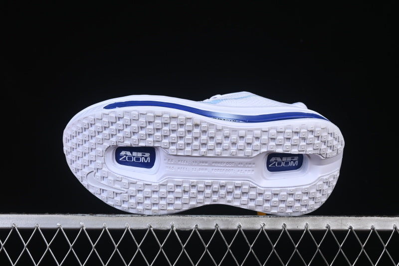 Nike Air Zoom Vomero Premium [HQ2050-566]