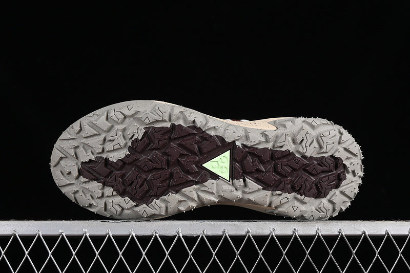Nike ACG Mountain Fly 2 Low GTX SE [FH5700-121]