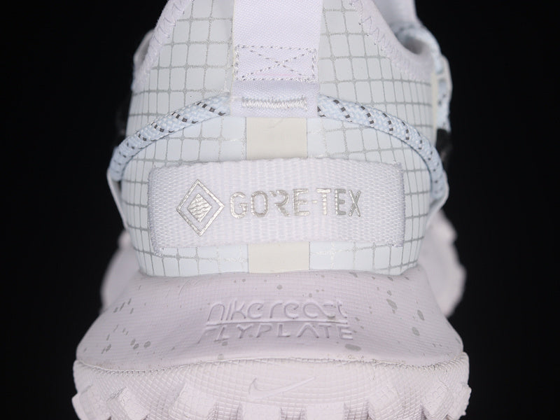 Nike ACG Mountain Fly Low GTX SE [DD2861-011]
