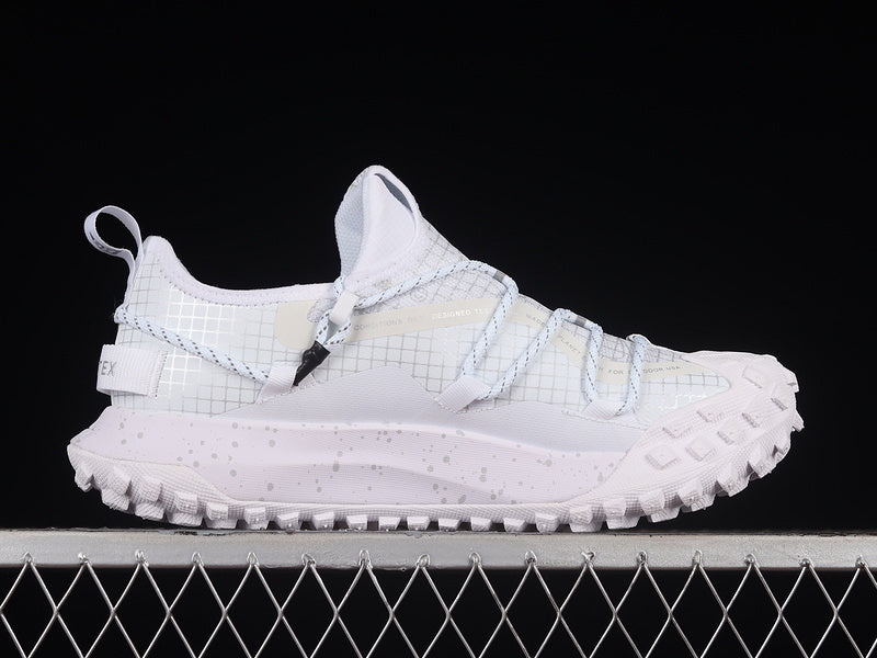 Nike ACG Mountain Fly Low GTX SE [DD2861-011]