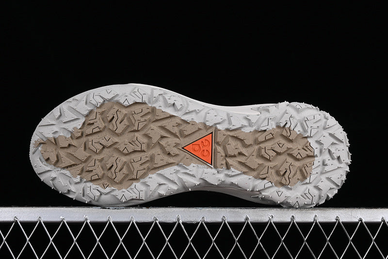 Nike ACG Mountain Fly 2 Low GTX SE [HP6245-002]