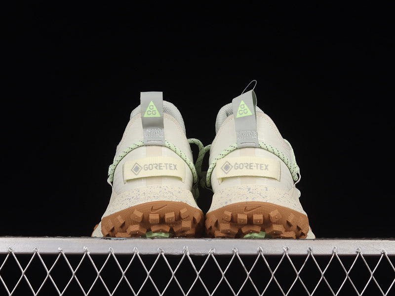 Nike ACG Mountain Fly Low GTX SE [DD2861-001]