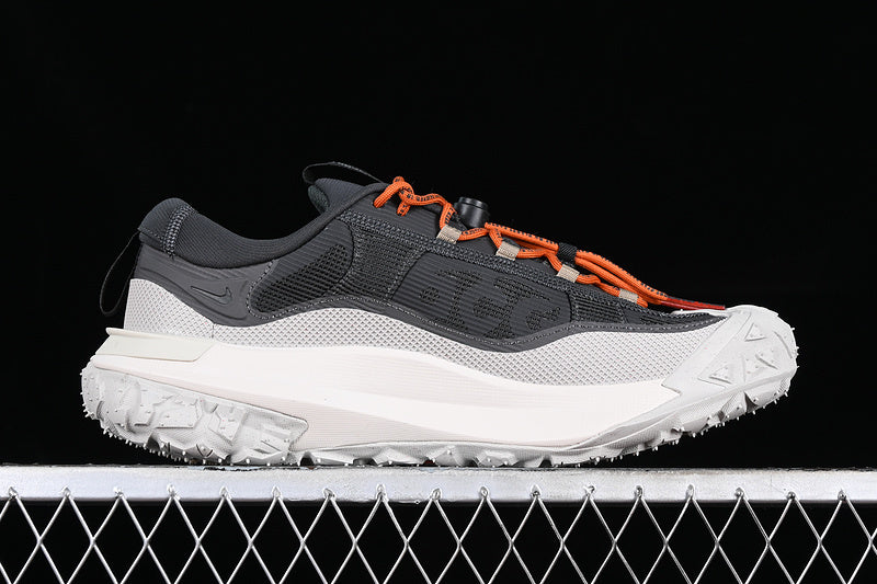 Nike ACG Mountain Fly 2 Low GTX SE [HP6245-002]