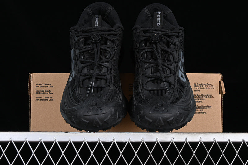 Nike ACG Mountain Fly 2 Low GTX SE [HF6245-001]