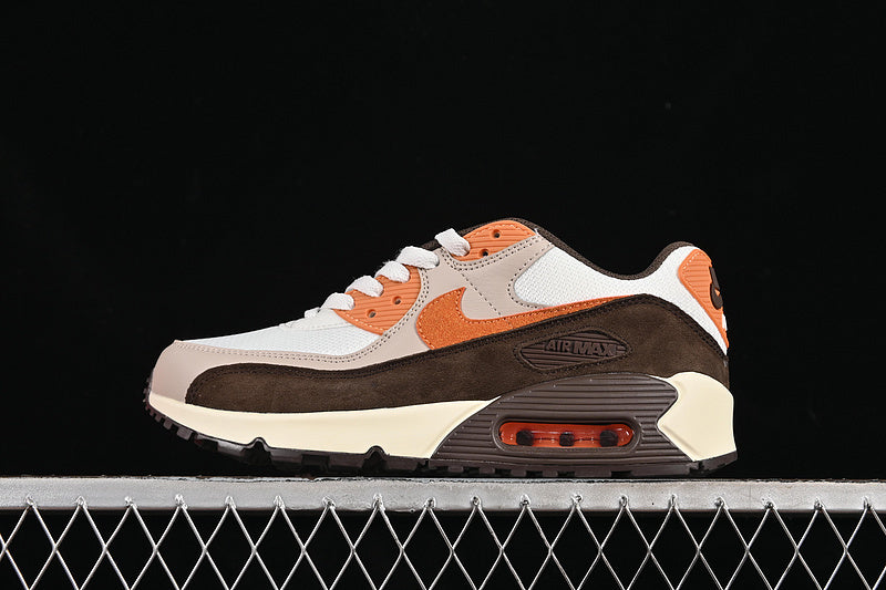 Nike Air Max 90 [IB7467-029]