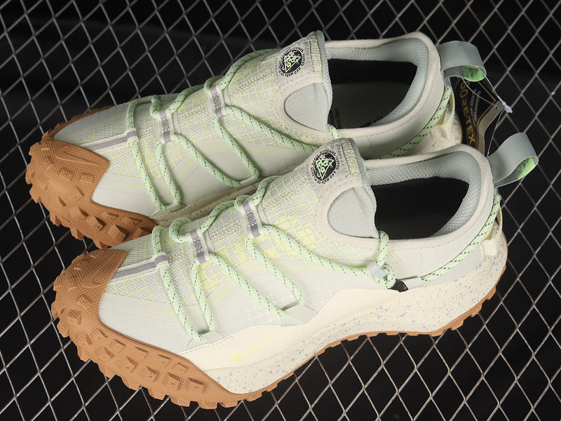 Nike ACG Mountain Fly Low GTX SE [DD2861-001]