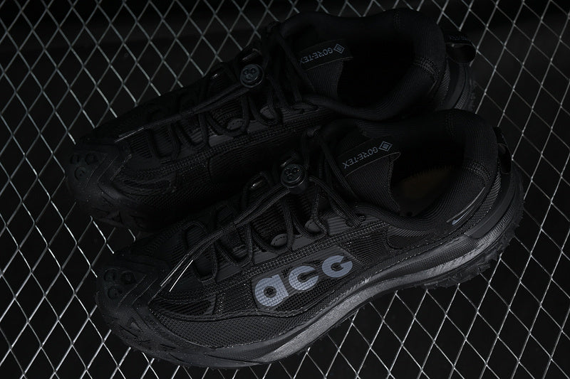 Nike ACG Mountain Fly 2 Low GTX SE [HF6245-001]
