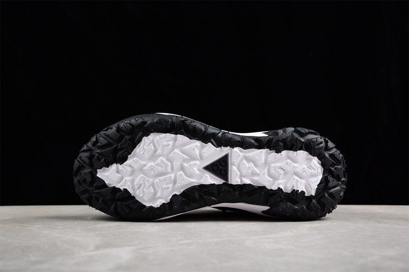 Nike ACG Mountain Fly 2 Low [DV7903-100]