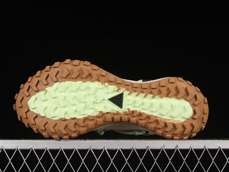 Nike ACG Mountain Fly Low GTX SE [DD2861-001]