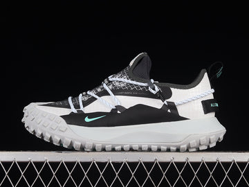 Nike ACG Mountain Fly Low SE [DO9334-100]