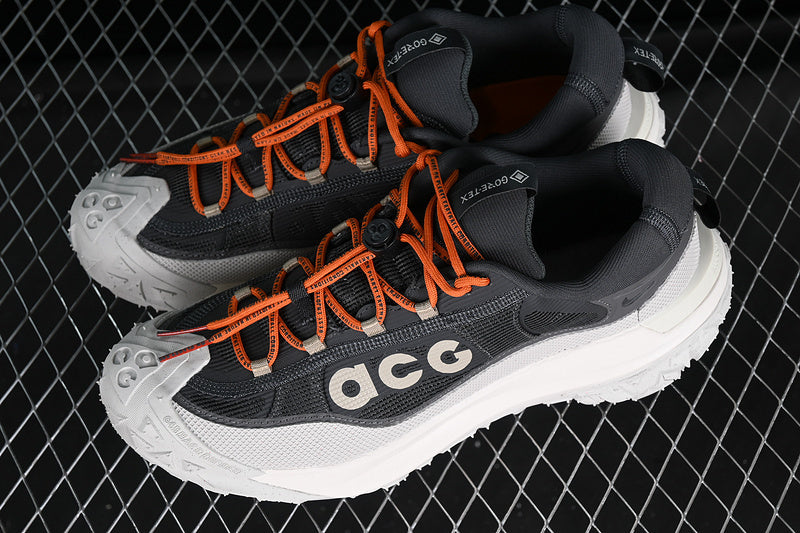 Nike ACG Mountain Fly 2 Low GTX SE [HP6245-002]