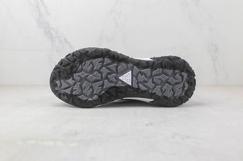 Nike ACG Mountain Fly 2 Low [DV7903-100]