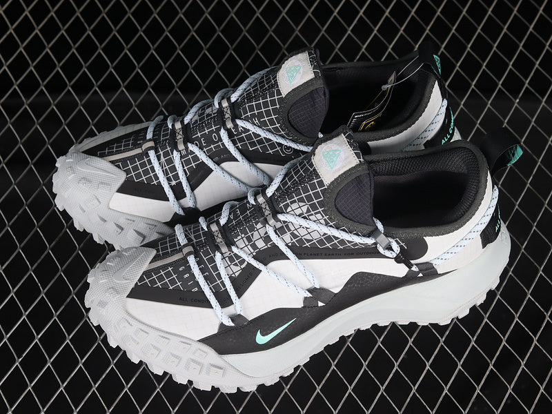 Nike ACG Mountain Fly Low SE [DO9334-100]