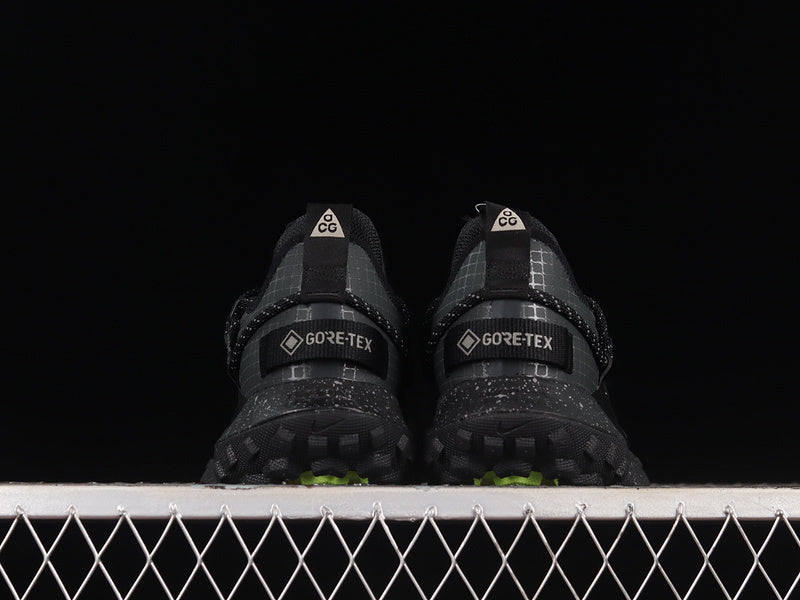 Nike ACG Mountain Fly Low GTX SE [DD2861-002]