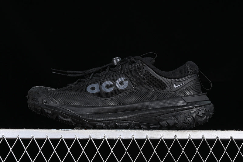 Nike ACG Mountain Fly 2 Low GTX SE [HF6245-001]