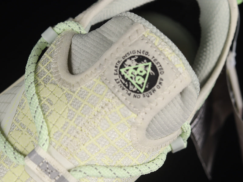 Nike ACG Mountain Fly Low GTX SE [DD2861-001]