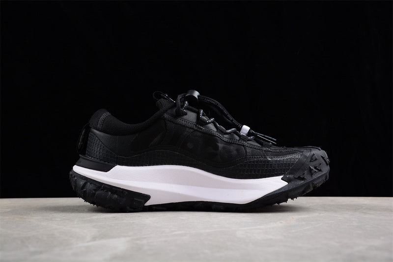 Nike ACG Mountain Fly 2 Low [DV7903-100]