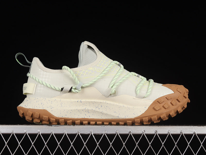 Nike ACG Mountain Fly Low GTX SE [DD2861-001]