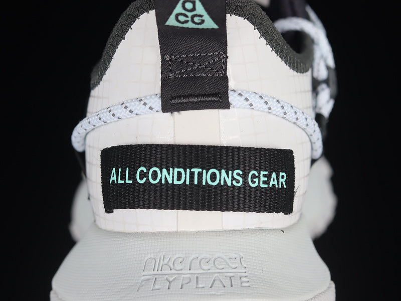 Nike ACG Mountain Fly Low SE [DO9334-100]