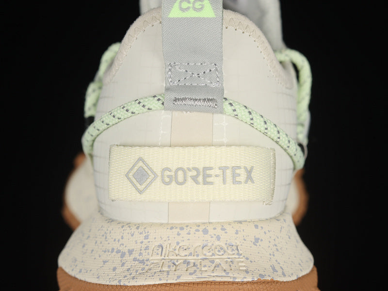 Nike ACG Mountain Fly Low GTX SE [DD2861-001]