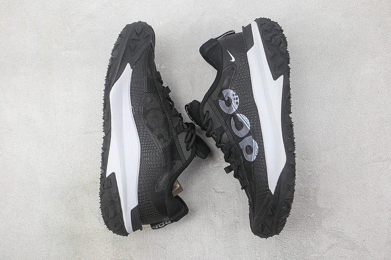 Nike ACG Mountain Fly 2 Low [DV7903-100]