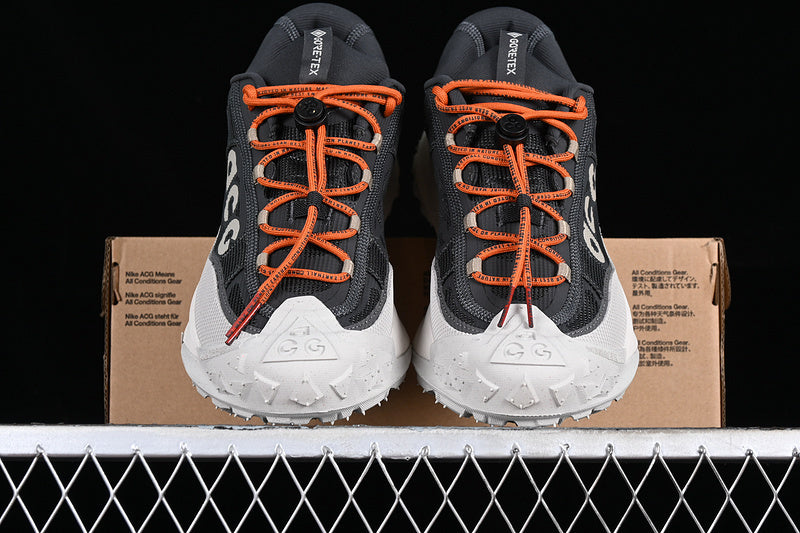 Nike ACG Mountain Fly 2 Low GTX SE [HP6245-002]