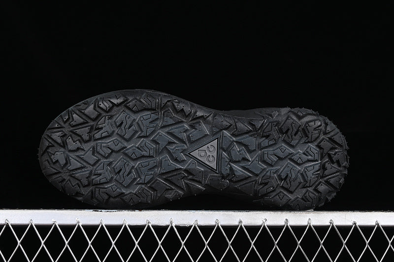 Nike ACG Mountain Fly 2 Low GTX SE [HF6245-001]