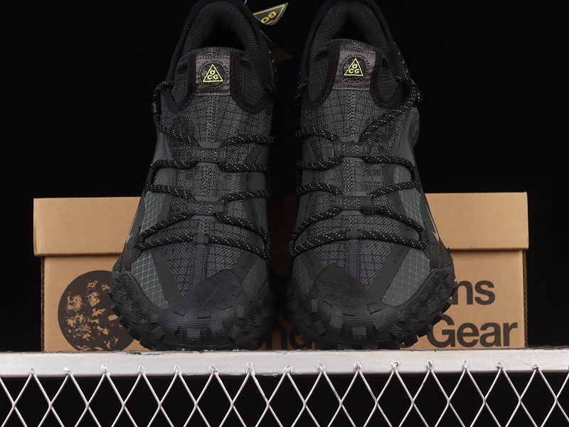 Nike ACG Mountain Fly Low GTX SE [DD2861-002]