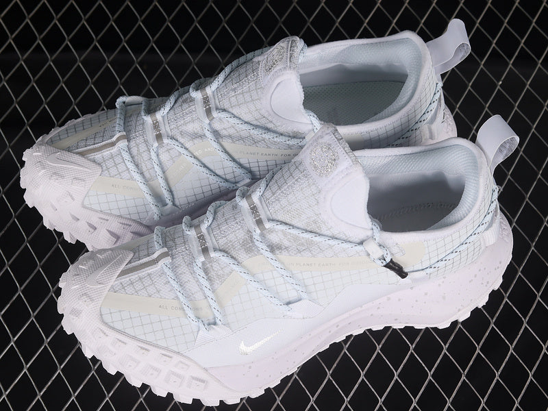 Nike ACG Mountain Fly Low GTX SE [DD2861-011]